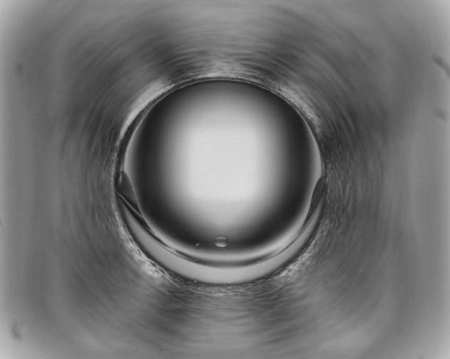 X0000098031138200804071411