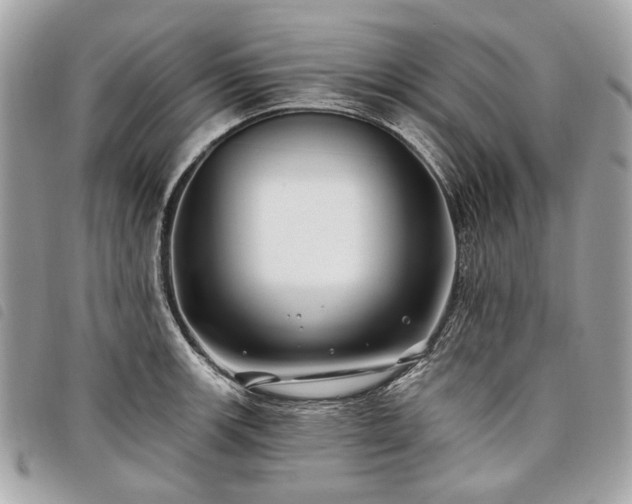 X0000098031139200804071411