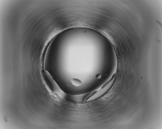 X0000098031144200804071411