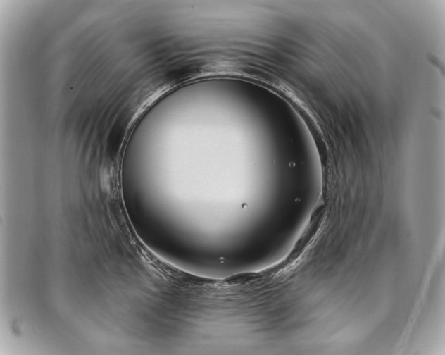 X0000098031145200804071411