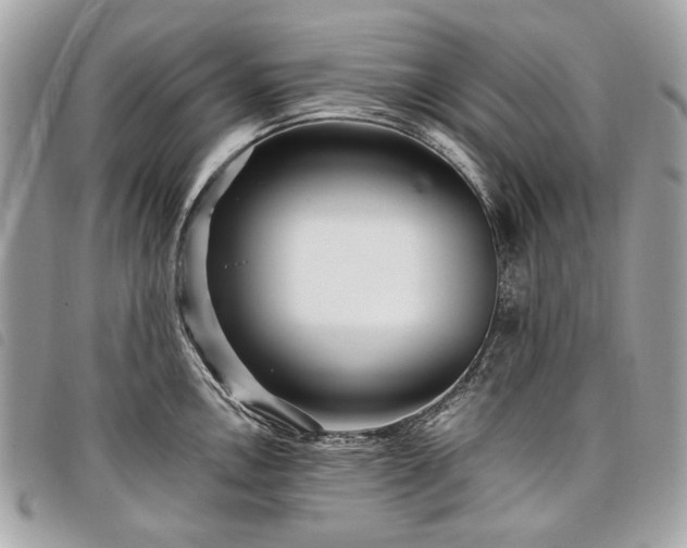 X0000098031146200804071411