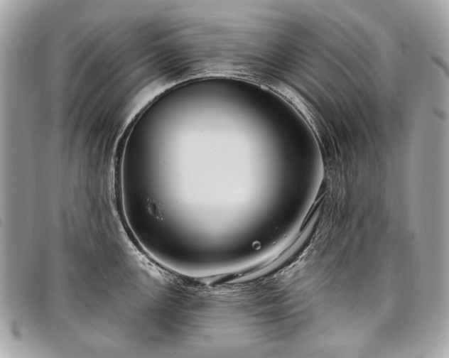 X0000098031147200804071411