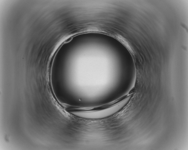 X0000098031148200804071411