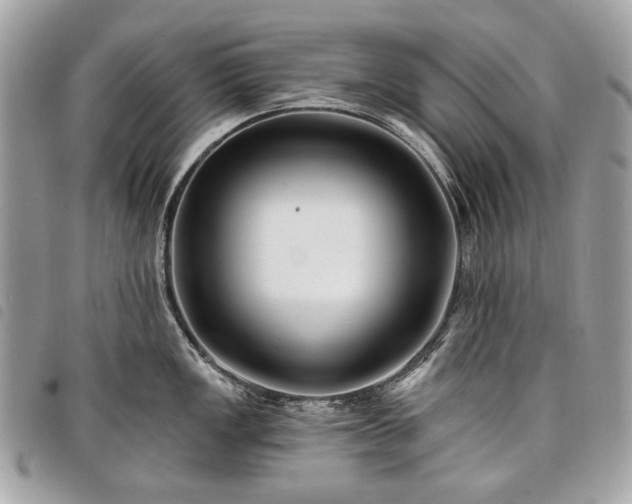 X0000098031149200804071411