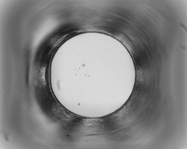 X0000098031150200804071411