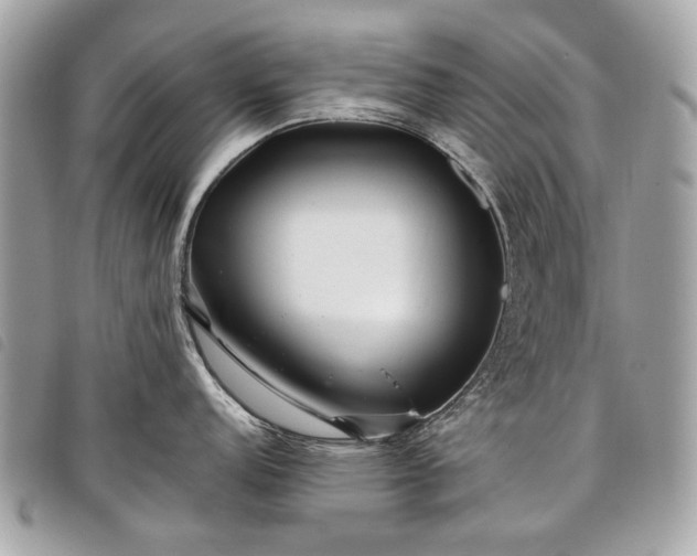 X0000098031152200804071411