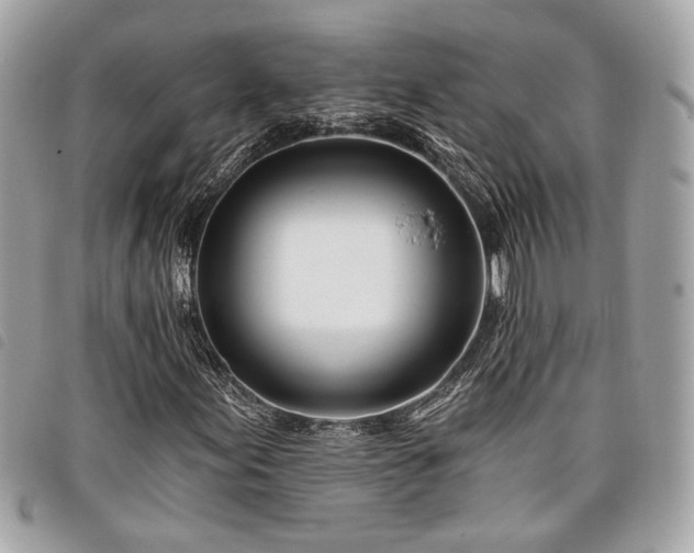 X0000098031155200804071410