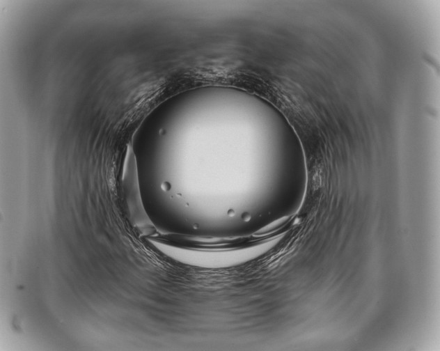 X0000098031156200804071410