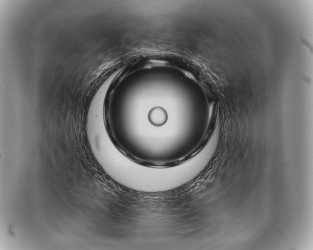 X0000098031157200804071410