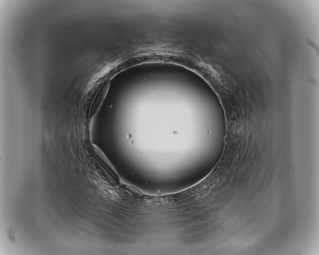 X0000098031159200804071410