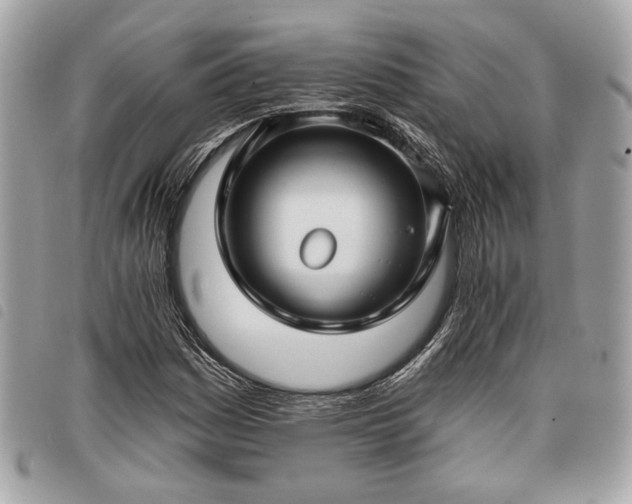 X0000098031161200804071410