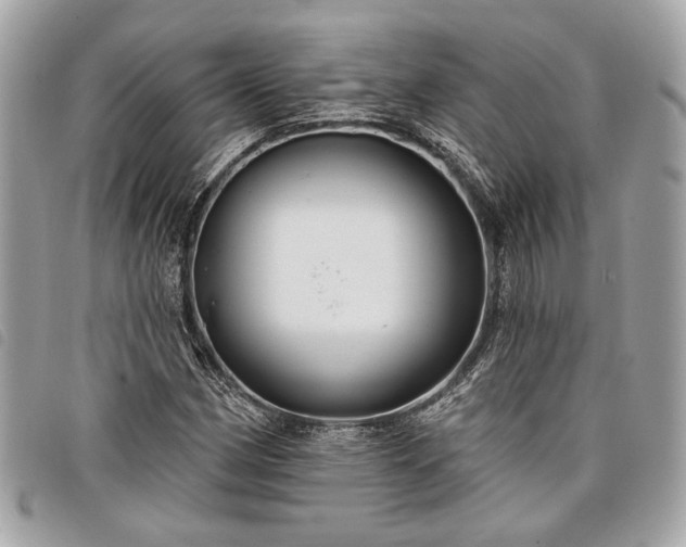 X0000098031162200804071410