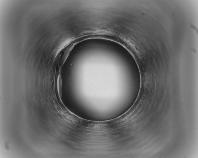 X0000098031163200804071410