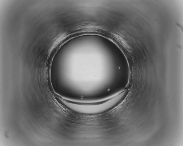 X0000098031164200804071410