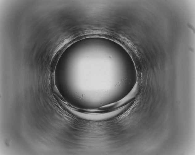 X0000098031165200804071410