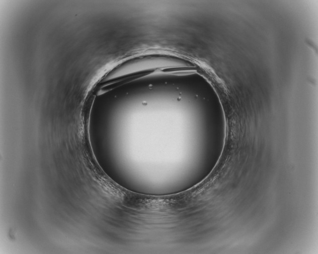 X0000098031167200804071410