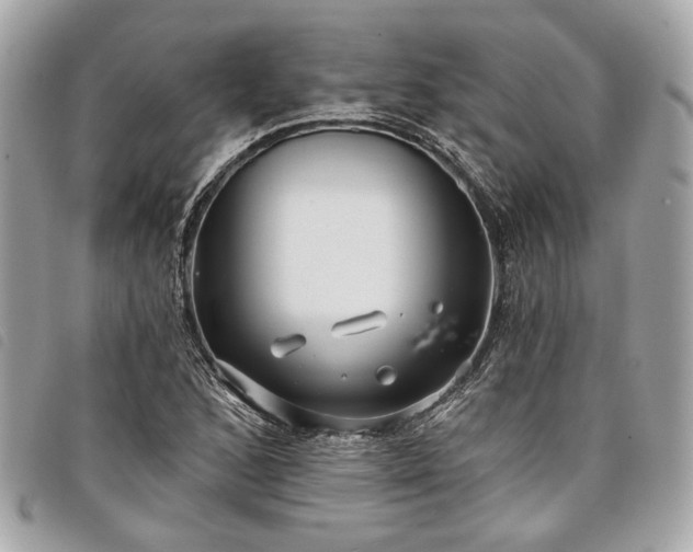 X0000098031168200804071410