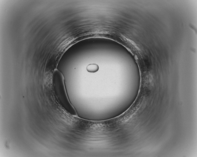 X0000098031169200804071410