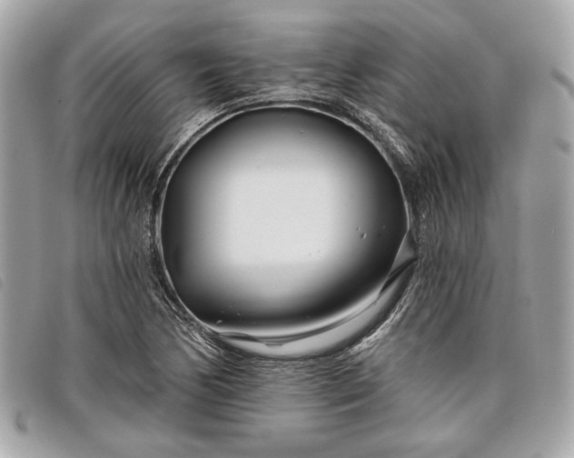 X0000098031170200804071410