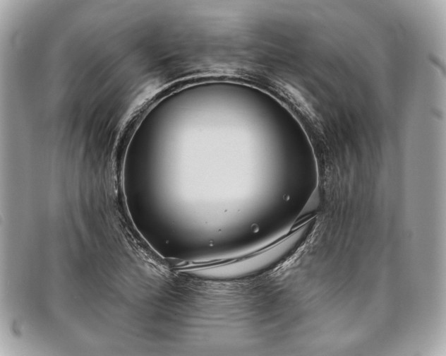 X0000098031172200804071410