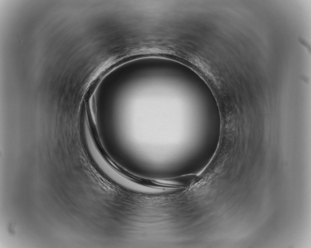 X0000098031173200804071410