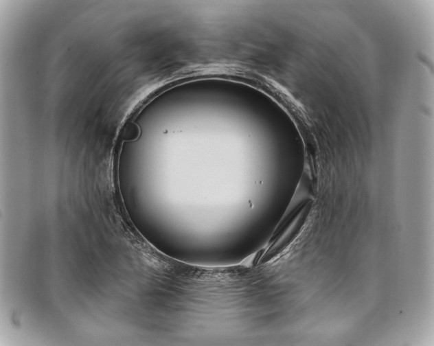 X0000098031174200804071410