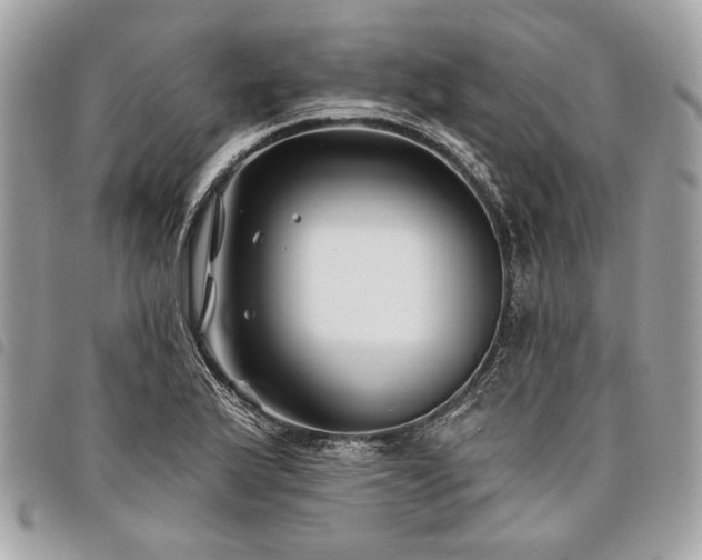 X0000098031175200804071410