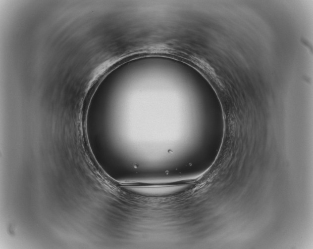 X0000098031176200804071410