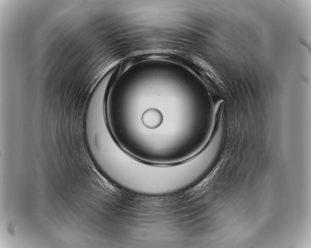 X0000098031177200804071410