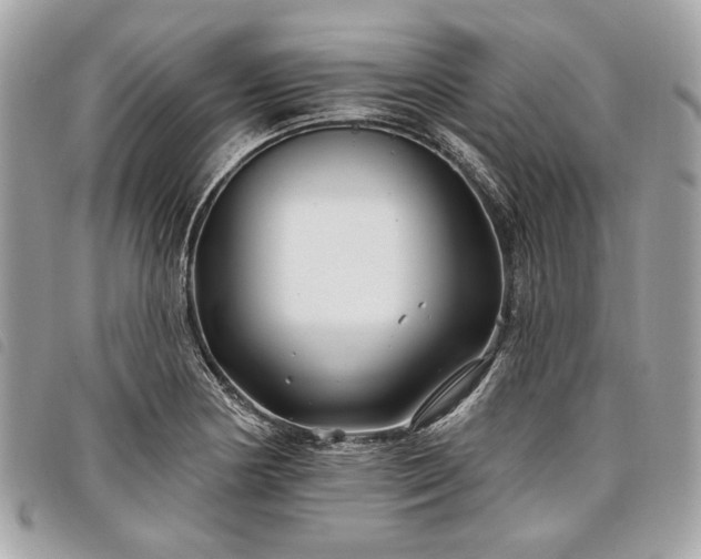 X0000098031178200804071410