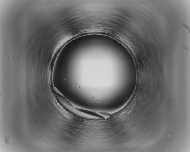 X0000098031179200804071410