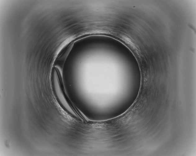 X0000098031181200804071410