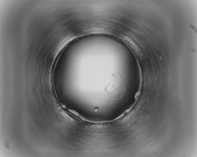 X0000098031182200804071410