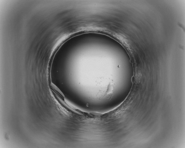 X0000098031183200804071410