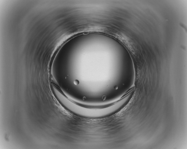 X0000098031184200804071410