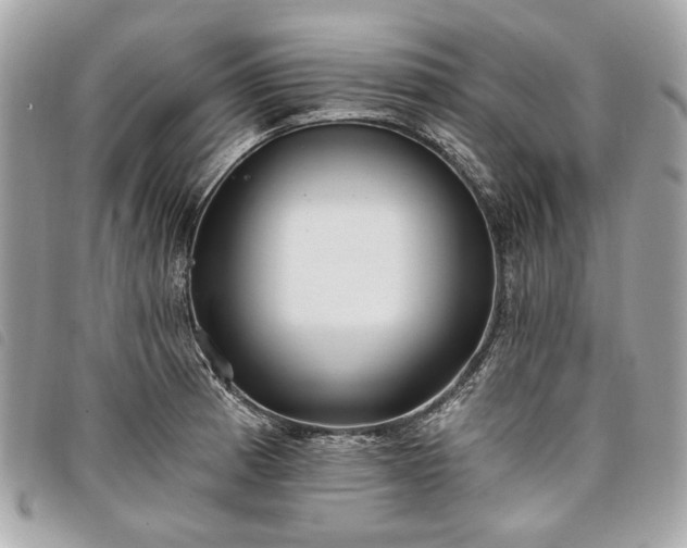 X0000098031185200804071410