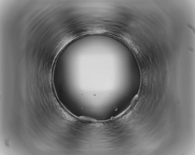 X0000098031186200804071410