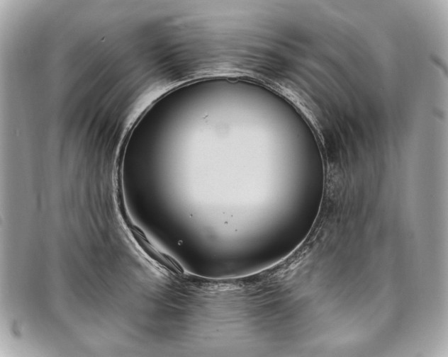 X0000098031187200804071410