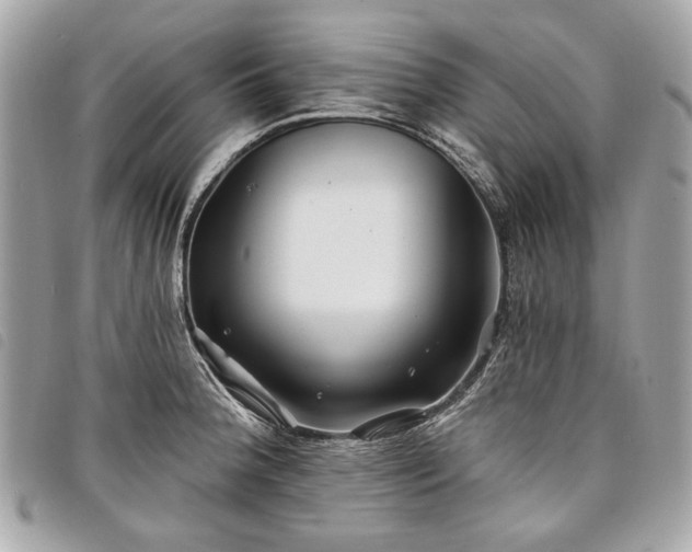 X0000098031188200804071410