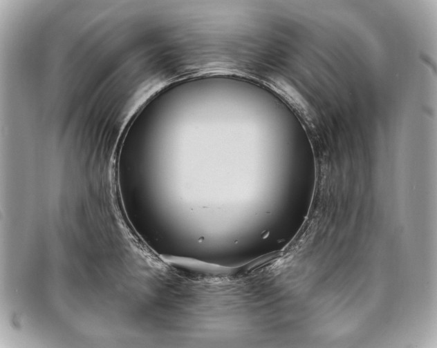 X0000098031190200804071410