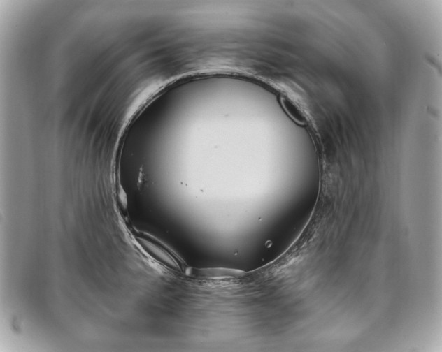 X0000098031191200804071410