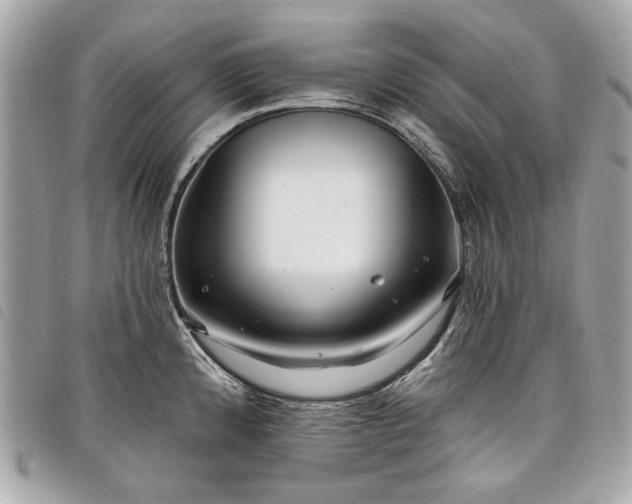 X0000098031192200804071410