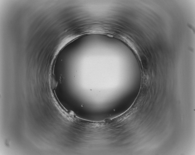 X0000098031195200804071410