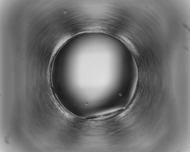 X0000098031196200804071410