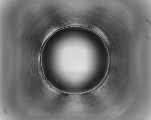 X0000098031198200804071409