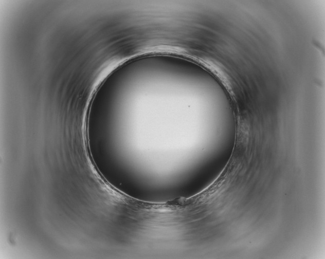 X0000098031199200804071409