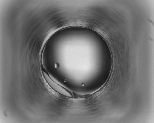 X0000098031200200804071409