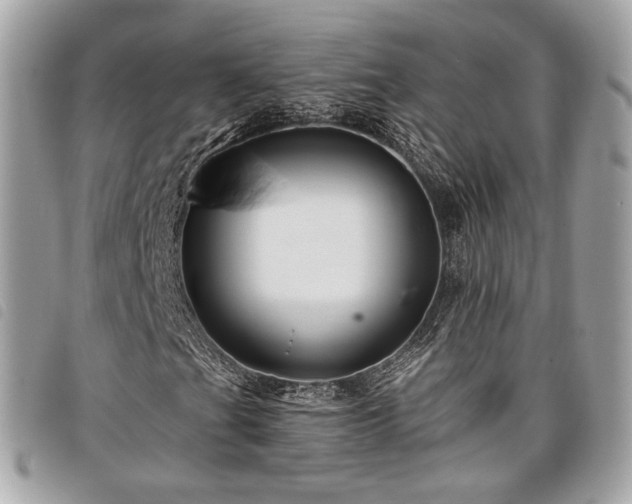 X0000098031201200804071409