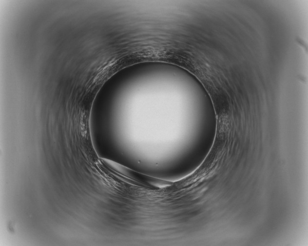 X0000098031202200804071409