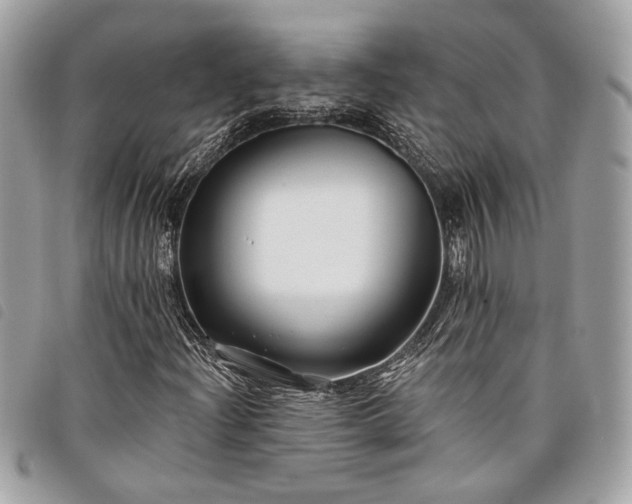 X0000098031204200804071409